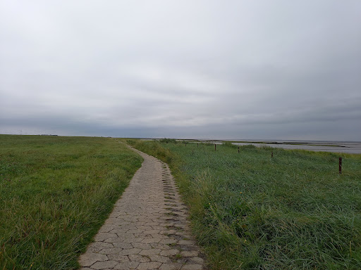 Beginn Hundewanderweg - Thumbnail