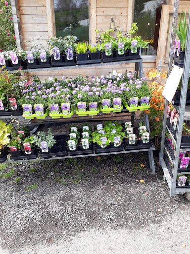 Tartendown Nurseries