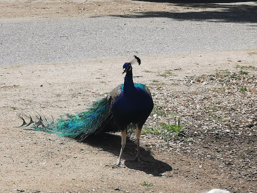Tapo Canyon Campground - Thumbnail