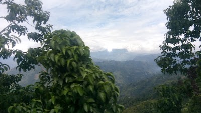 Photos of Tienda Partidas
