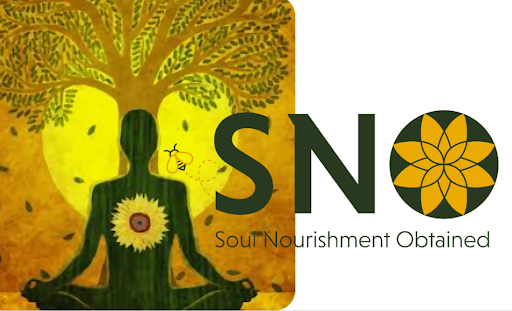 SNO - Visual