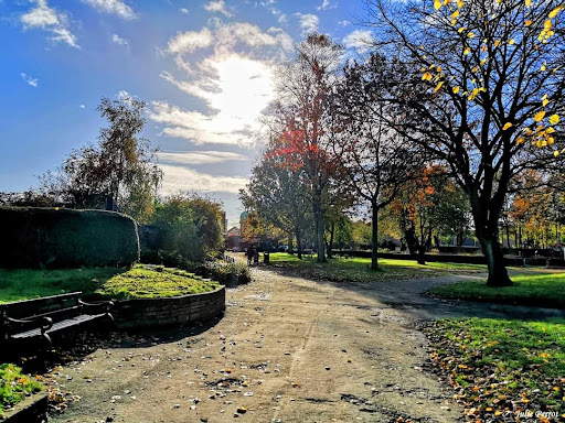 Central Park and Skatepark Gallery - United Kingdom