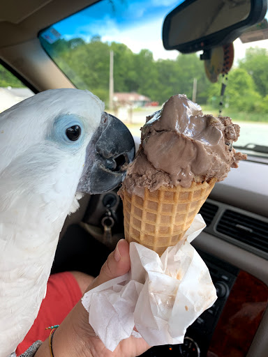 The Bridge Creamery and Soda Shop - Thumbnail