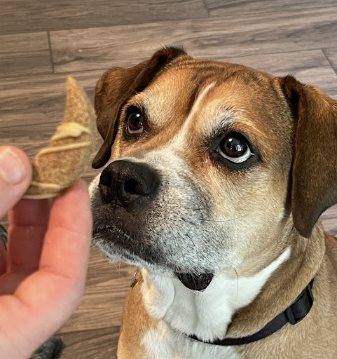 NomiNoms Pet Company - Thumbnail