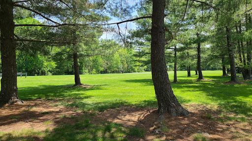 Tennyson Park - Thumbnail