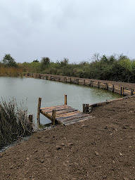 Photo n°1 de M&P Terrassement à Saint-Laurent-de-la-Prée (Entreprise de terrassement)