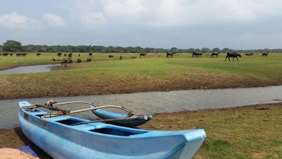 Photos of Vavuni Kulam Tank