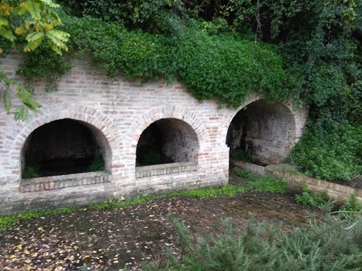Fonte Moscogna - Visual