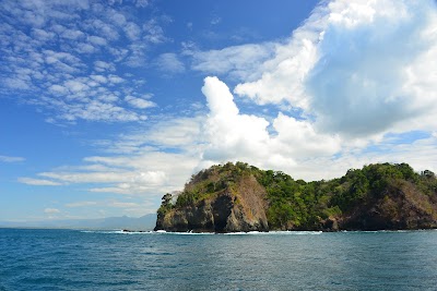 Photos of Planet Dolphin Catamaran Eco Adventures