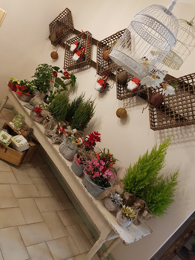 ORTICOLA