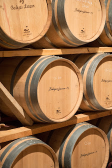 Bodegas Lezaun Calle Berviste, 31292 Lácar, Navarra, España