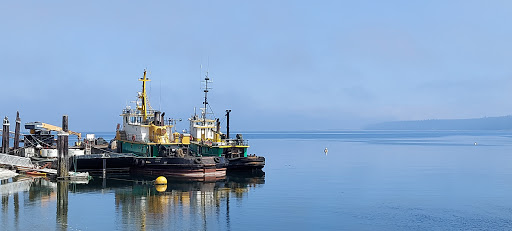 Public Dock - Visual