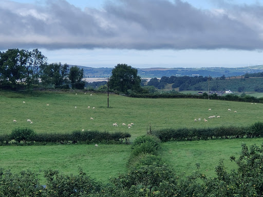 High Fellgate - Visual