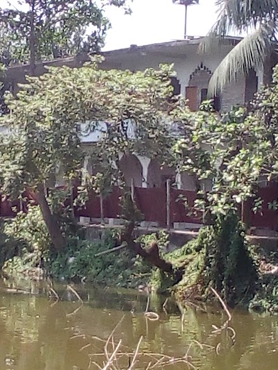 Photos of Mokamtola Central Jame Masjid
