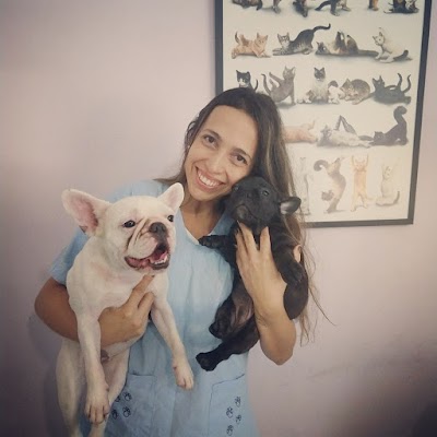 veterinary-care