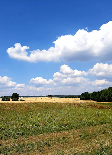 Wanderbahn Mosbach-Mudau - Thumbnail
