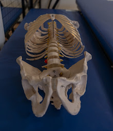 Photo n°14 de École Oscar - École d’ostéopathie à Strasbourg à Strasbourg (Centre de formation)