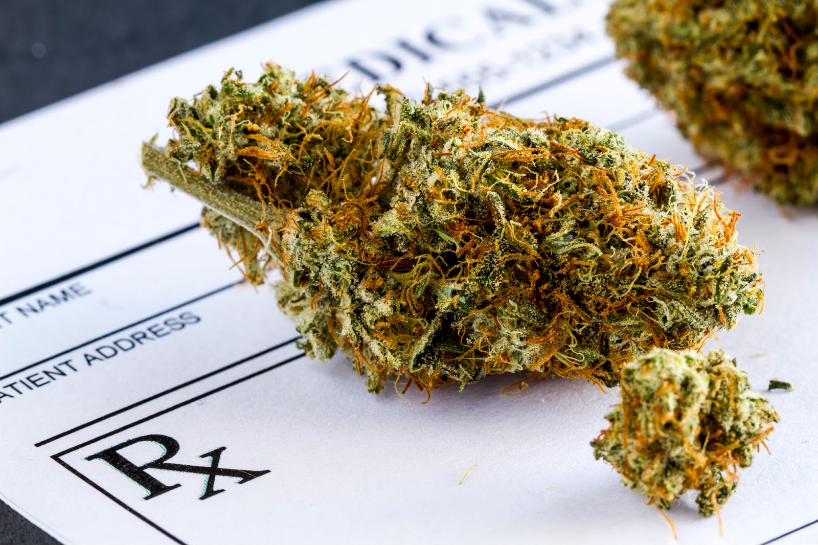Insure The Weed in Shelby Township, Michigan