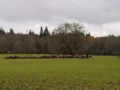 Clatsop State Forest