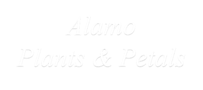 Alamo Plants & Petals