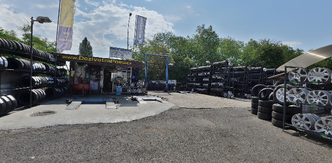 Opinii despre Pneuservis Sapa - Šťastný în Praha - Pneuservis