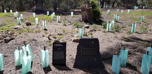 Maddock Fauna Park Gallery - Australia