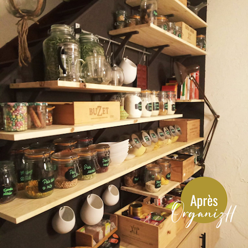 Comentarii opinii despre OrganizH