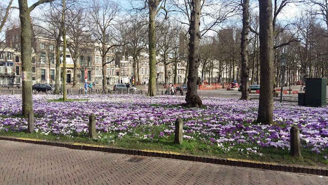 Escher in Het Paleis