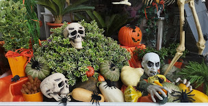 Photo n°14 de Arum et Libellules à Criquetot-l'Esneval (Fleuriste)