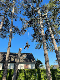 Photo n°4 de Pays'Arbre à Archelange (Service d'élagage)
