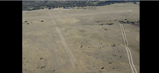 Eduardo Castellanos Airport