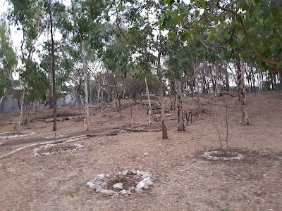 Photos of Residenciales Eureka Ecological Park