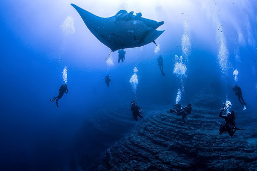 Puerto Morelos Excursions MExplor