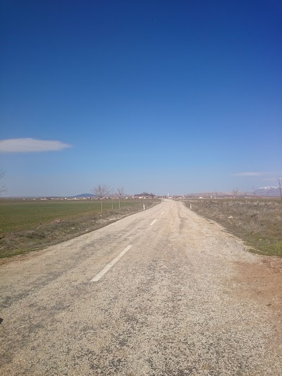 Photos of Halfa Green
