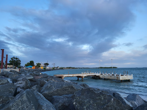 Sea Angel's Gallery - United States