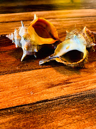 Photo n°27 de Le Cabanon à Saint-Cyprien (Restaurant de fruits de mer)