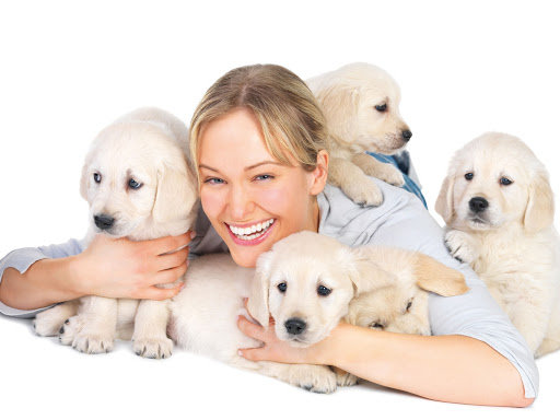 Toilettage TIKITA Chiens Chats Lille Marcq