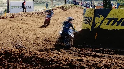 Photos of Zelta Zirgs