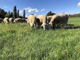 Photo n°7 de Ferme des nuances de bassel à Saint-Jean-de-Bassel (Ferme d'élevage)