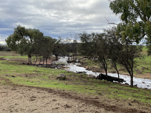 Northbrook Farmstay - Thumbnail