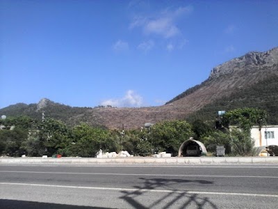 Photos of Tekmen Market