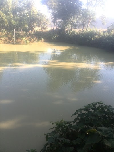 Photos of আনোয়ারের পুকুর