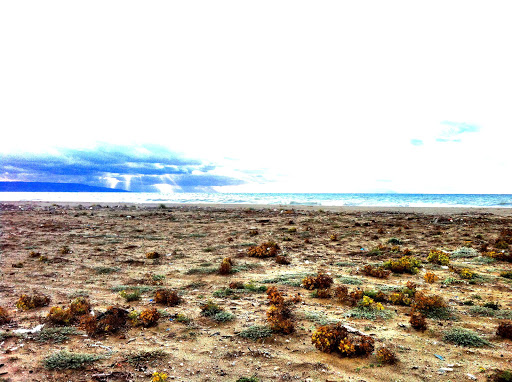 Area S.I.C. Dune dell'Angitola - Thumbnail