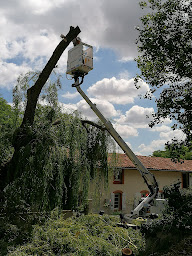 Photo n°3 de Jbs habitat à Valleiry (Service d'élagage)