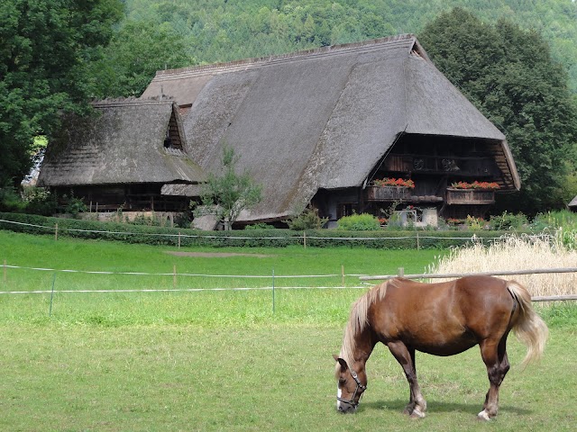 Vogtsbauernhof