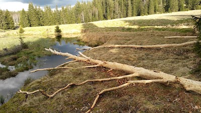 Photos of Modravsk&eacute; slatě