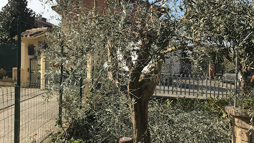 Gardenarts di Cristian Polidori