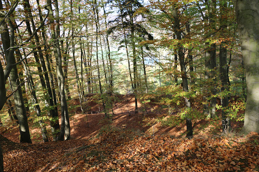 Bramburg - Visual