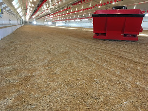 Photo n°3 de Sam'Paille à Saint-Aubin-du-Désert (Élevage de volailles)