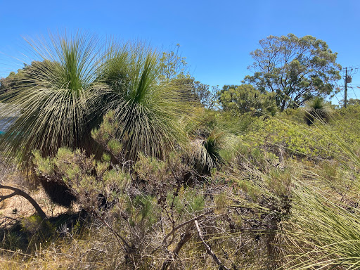Friends of Duncraig Library Bushland - Thumbnail
